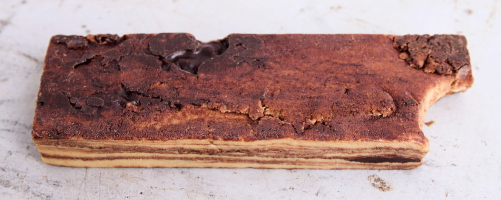 vegan proteïne reep van body & fit