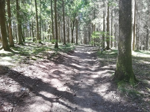 Houffalize-Mtb-route5