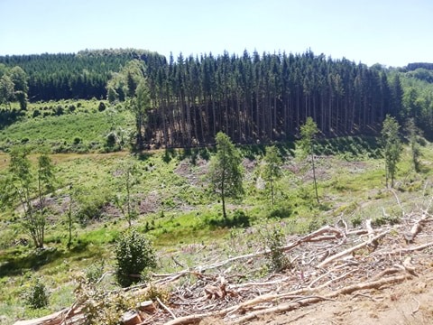 Houffalize-mtb-route4-uitzicht