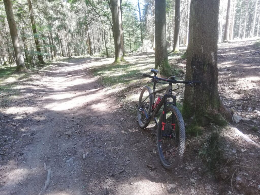 Mountainbike Scott Scale 910 2020