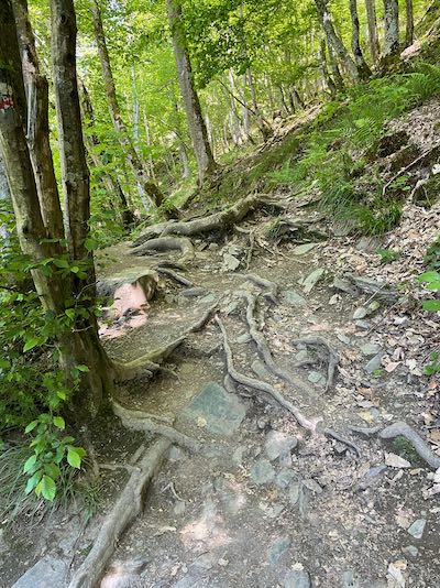 Lac des deux Ourthes