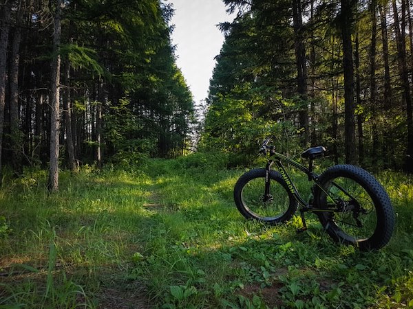Fatbike