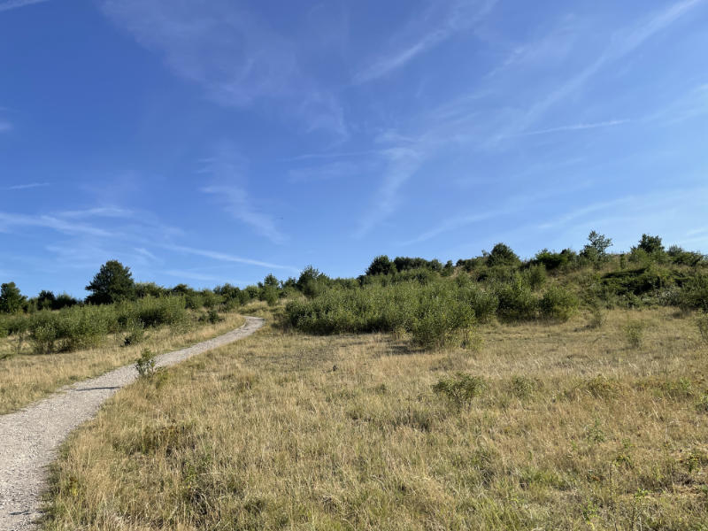 be-Mine rode wandelroute grote terril