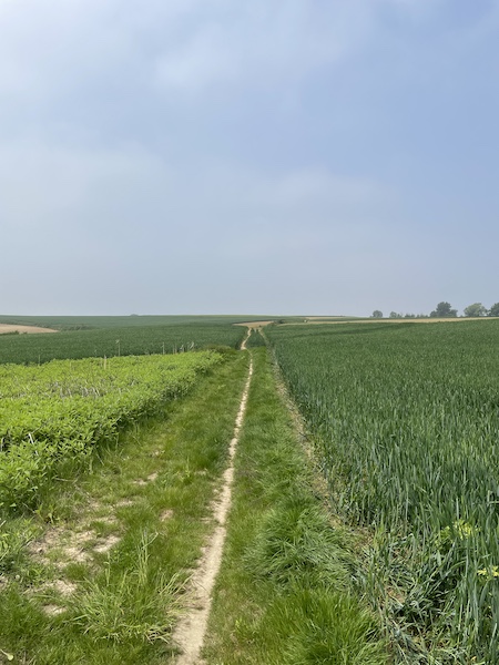 mtb routes in Hoegaarden