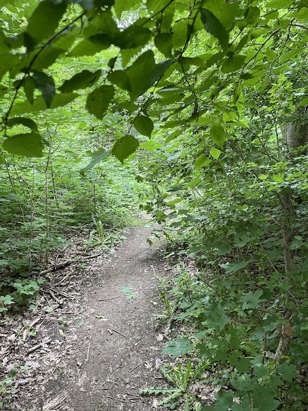 mtb routes in Hoegaarden