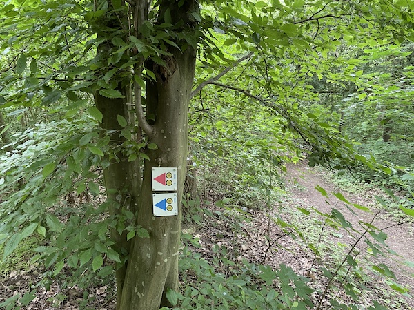 mtb routes in Hoegaarden