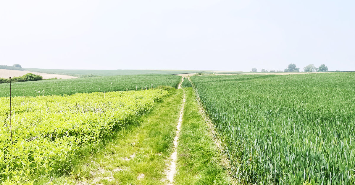 MTB routes in Hoegaarden