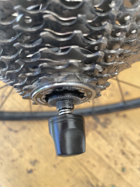 Snelspanner borgmoer