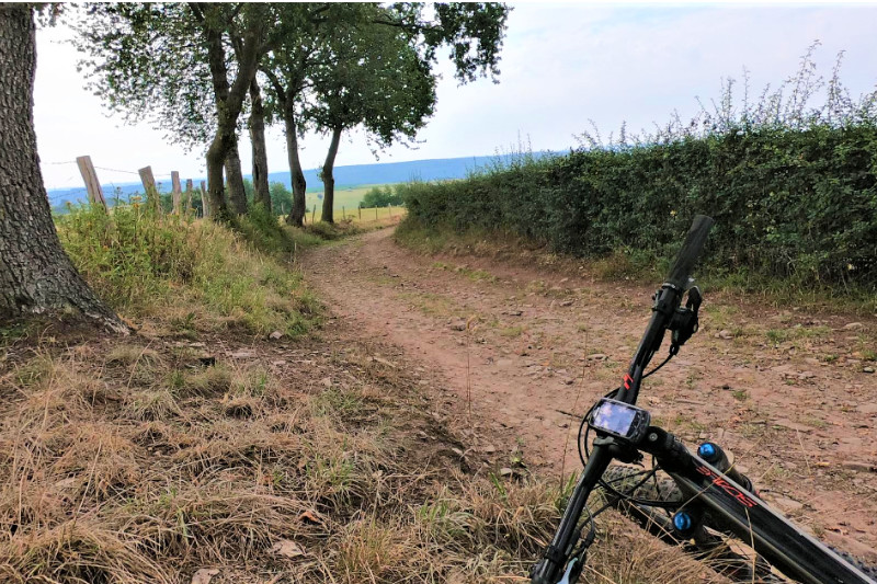 mtb-route-theux-2 MTB route in Theux