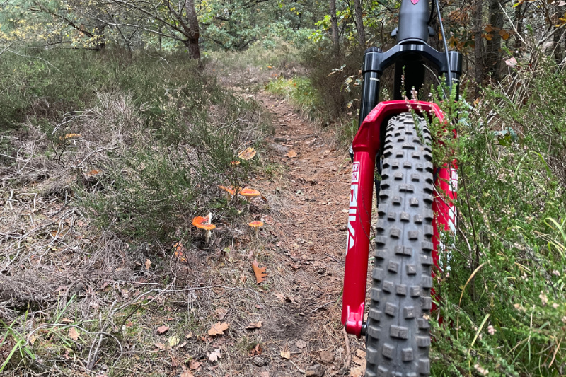 Schwalbe Nobby Nic SuperGround MTB profiel